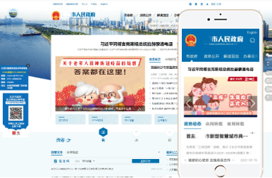 Gov 行政官网类型